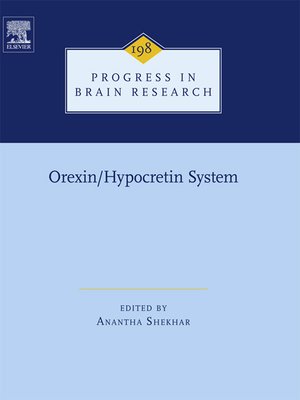 cover image of Orexin/Hypocretin System